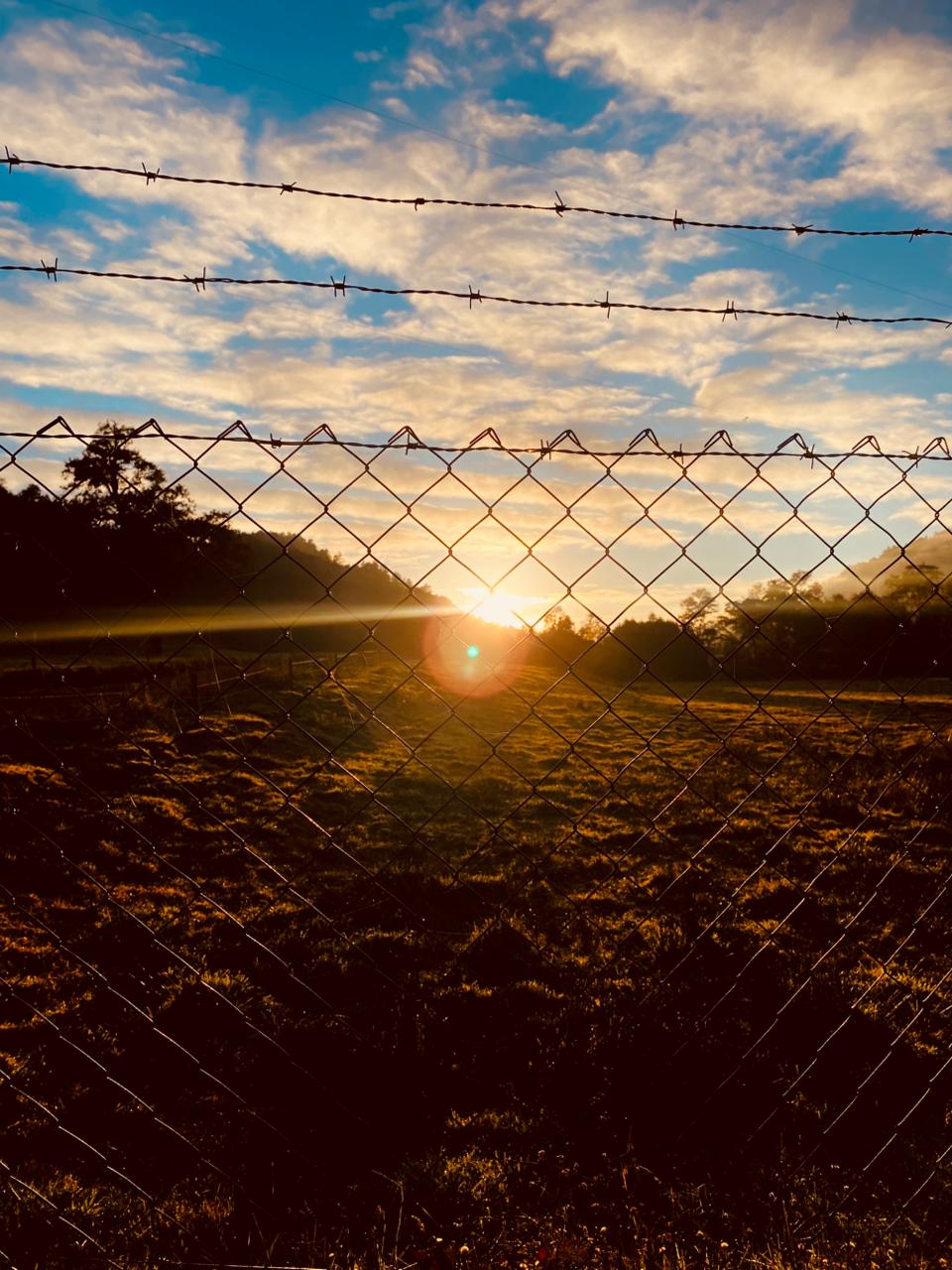 La universalidad amorosa y humana de la cruz